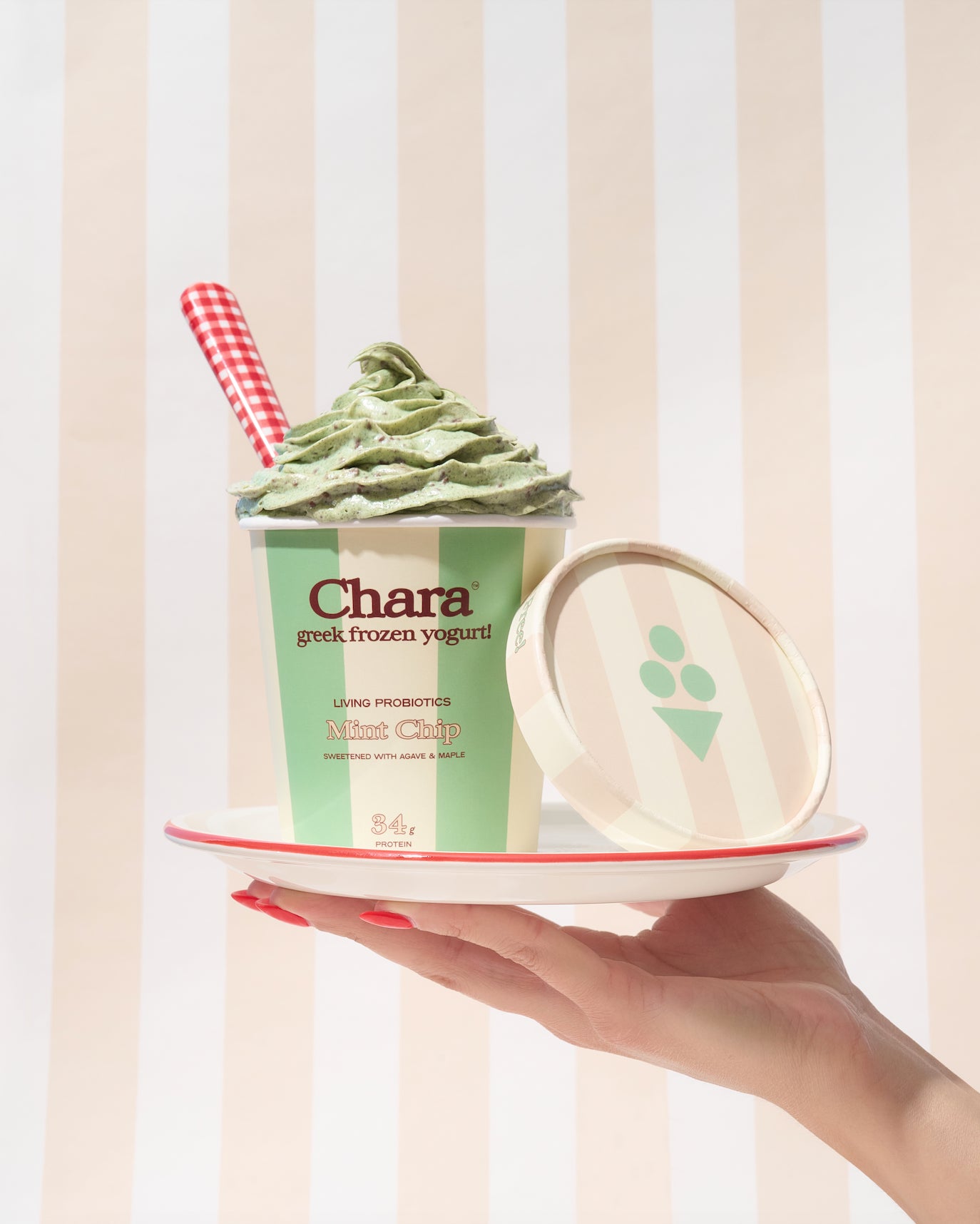 Mint Chip Frozen Yogurt