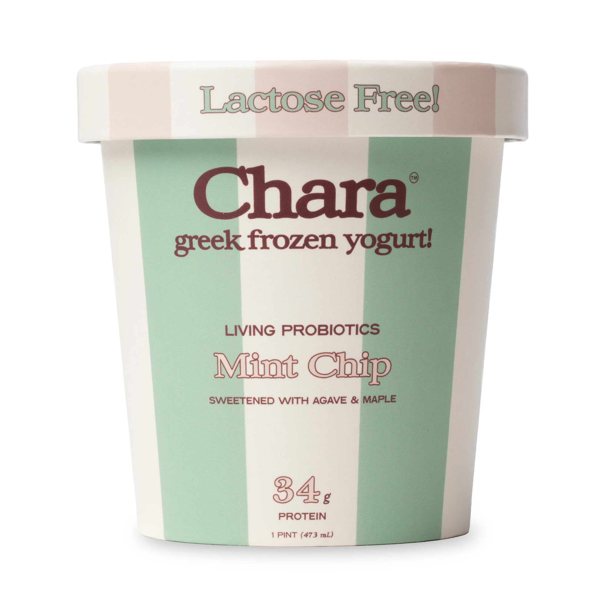 Mint Chip Frozen Yogurt