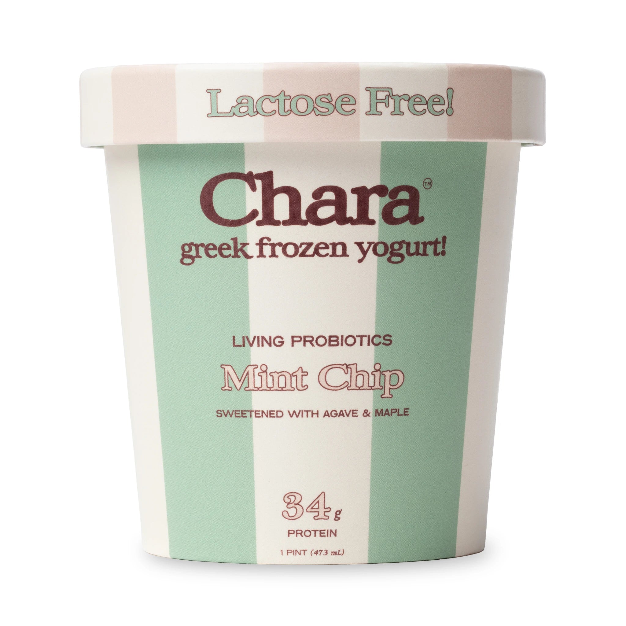 Mint Chip Frozen Yogurt